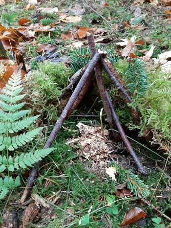 "Mit allen Sinnen" Spiel und Spaß im Herbstwald