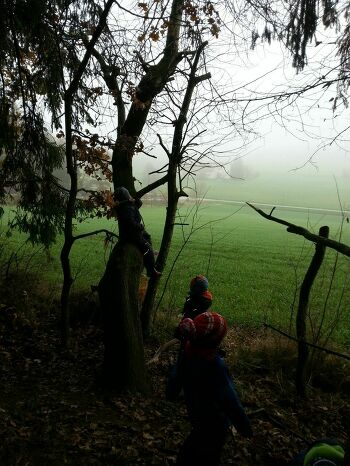 Der Wald - ein Erlebnis