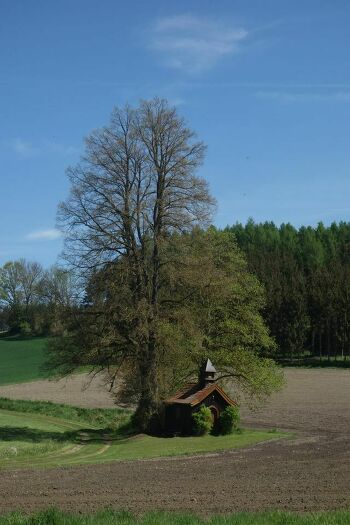 Perlen des Klosterwinkels II: Auf der Via Nova von Bad Griesbach über Parzham und Weng nach Haarbach